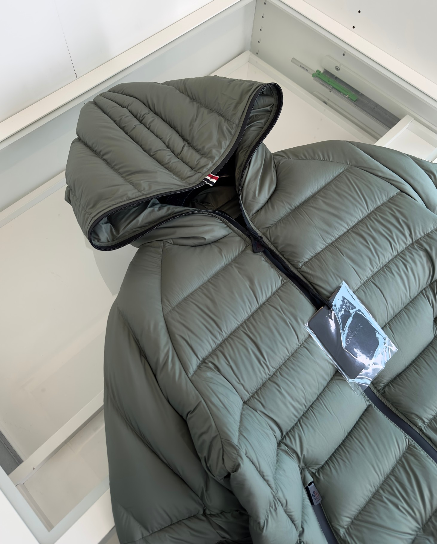 Moncler Down Jackets